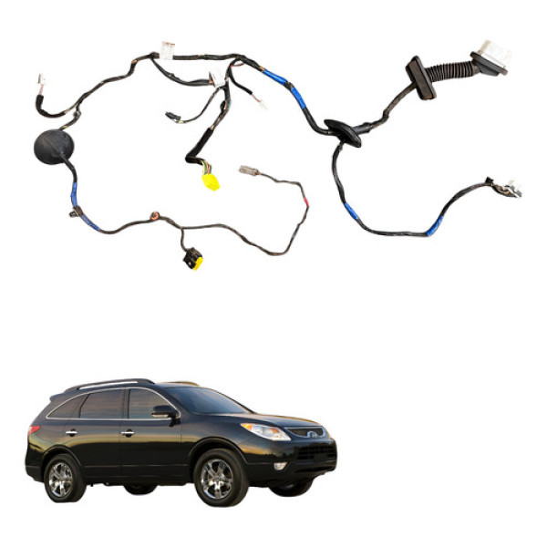 Chicote Porta Dianteira Direita Hyundai Vera Cruz 2009 2010