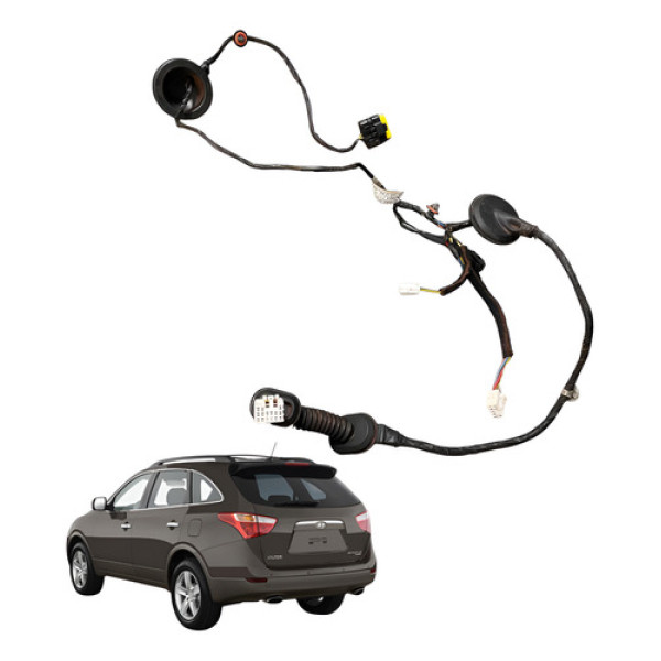 Chicote Porta Tras Esquerda Hyundai Vera Cruz 3.8 2009 2010