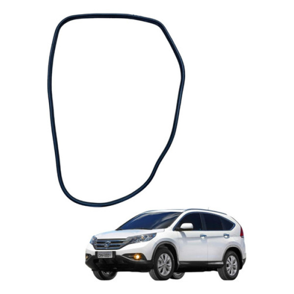Borracha Porta Traseira Esquerda Honda Crv 2012 Lx
